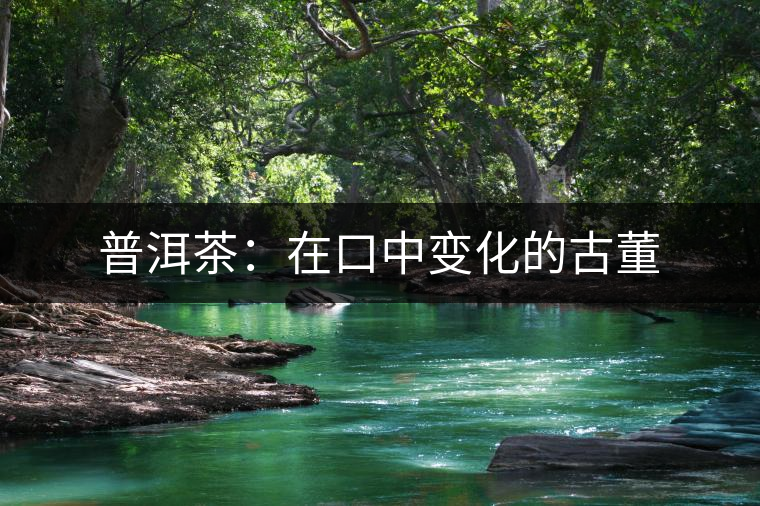 普洱茶：在口中變化的古董