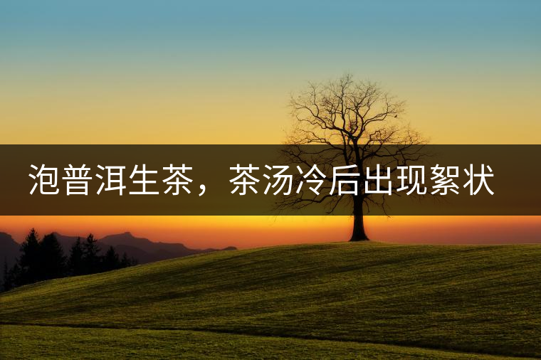 泡普洱生茶，茶湯冷后出現(xiàn)絮狀物是怎么回事？