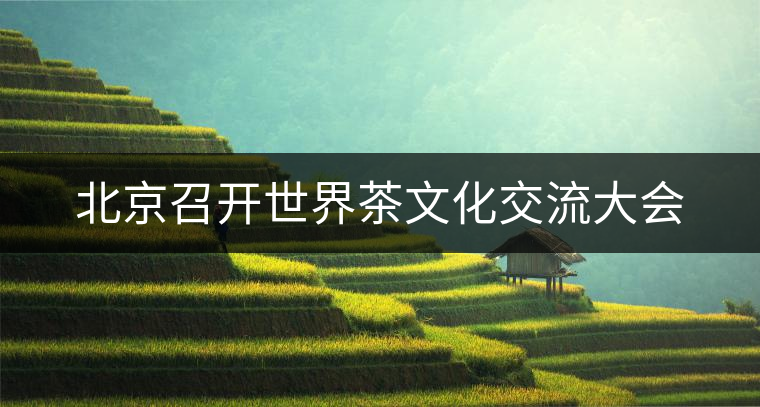 北京召開世界茶文化交流大會 北京召開世界茶文化交流大會