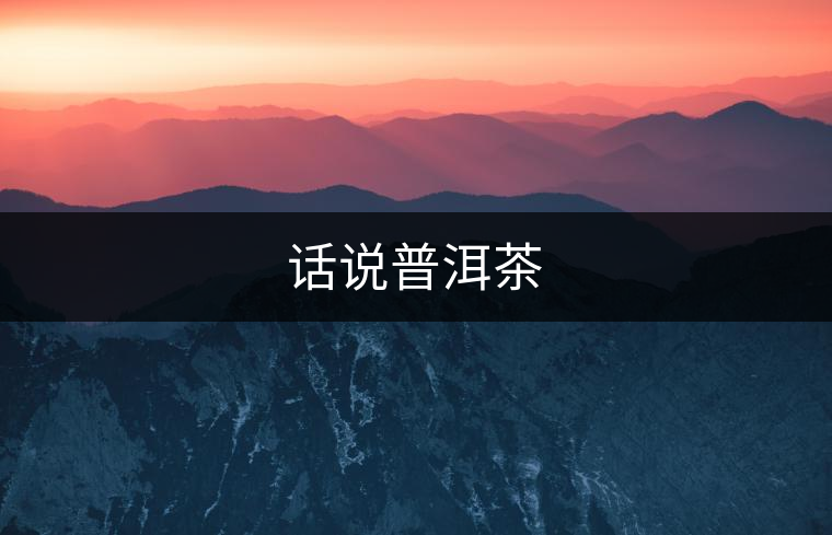 話說(shuō)普洱茶
