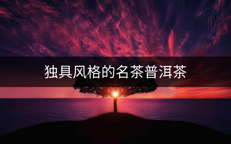 獨(dú)具風(fēng)格的名茶普洱茶