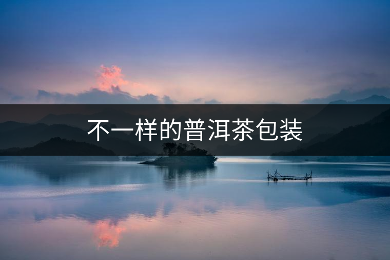 不一樣的普洱茶包裝
