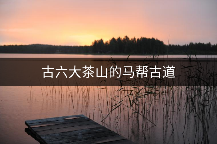 古六大茶山的馬幫古道