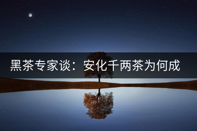 黑茶專家談：安化千兩茶為何成“世界茶王”？