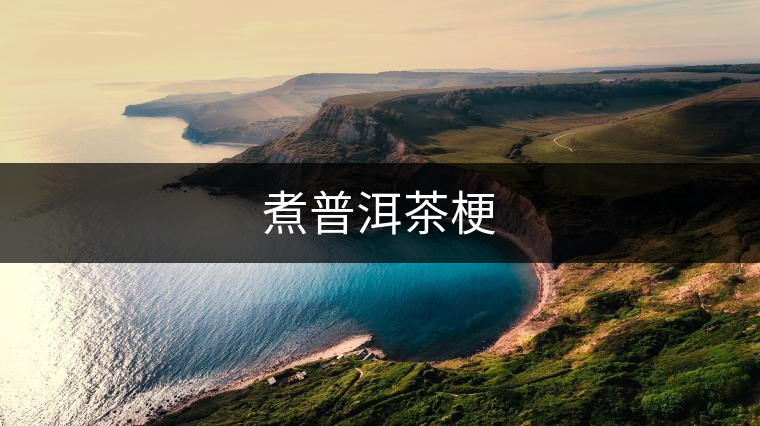 煮普洱茶梗