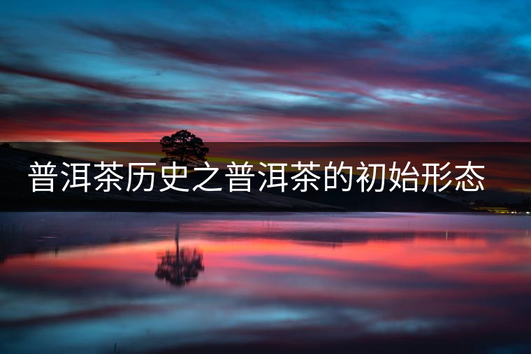普洱茶歷史之普洱茶的初始形態(tài)及來歷