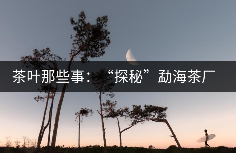 茶葉那些事：“探秘”勐海茶廠與大益普洱茶