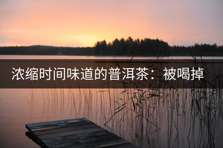 濃縮時(shí)間味道的普洱茶：被喝掉的古董