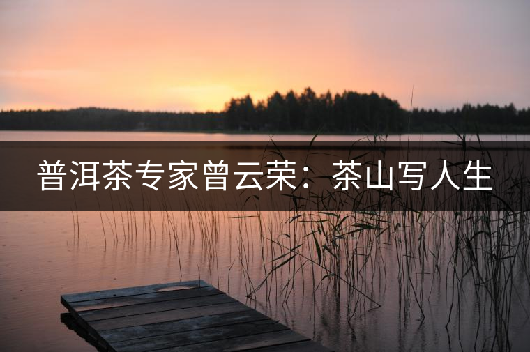 普洱茶專家曾云榮：茶山寫人生