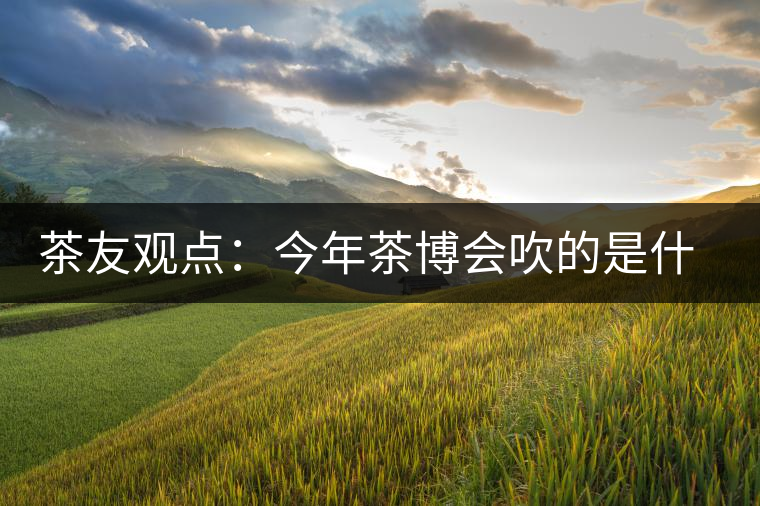 茶友觀點(diǎn)：今年茶博會吹的是什么風(fēng)？
