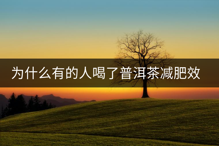 為什么有的人喝了普洱茶減肥效果不明顯呢？