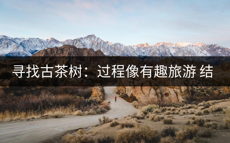 尋找古茶樹:過程像有趣旅游 結(jié)果是非凡的文化 尋找古茶樹:過程像有趣旅游 結(jié)果是非凡的文化