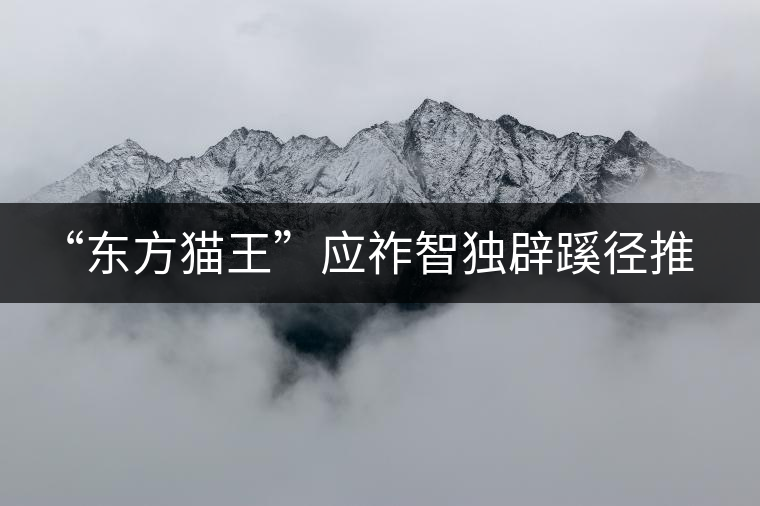 “東方貓王”應祚智獨辟蹊徑推出普洱茶工藝對聯(lián)
