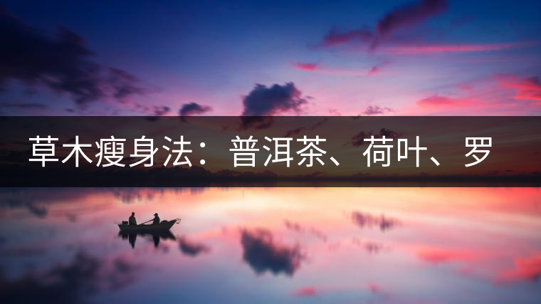 草木瘦身法：普洱茶、荷葉、羅漢果