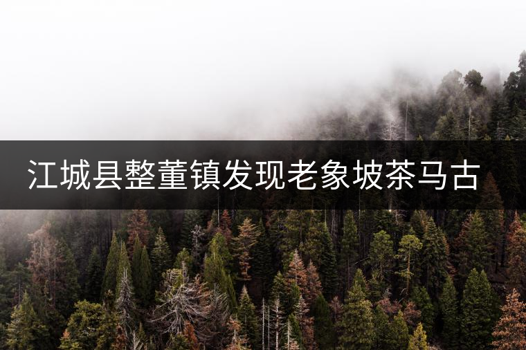 江城縣整董鎮(zhèn)發(fā)現(xiàn)老象坡茶馬古道遺跡