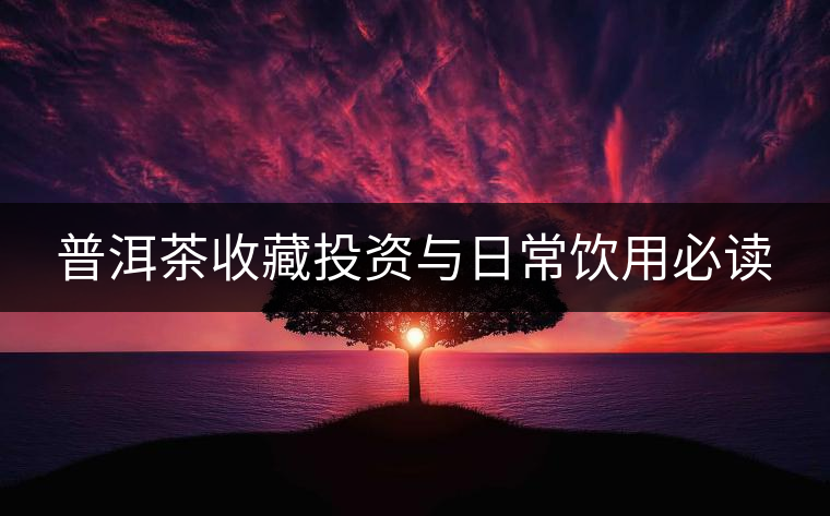 普洱茶收藏投資與日常飲用必讀 普洱茶收藏投資與日常飲用必讀
