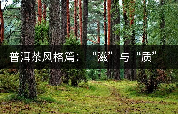 普洱茶風(fēng)格篇：“滋”與“質(zhì)”（談普洱茶數(shù)字化評(píng)價(jià)體系三）
