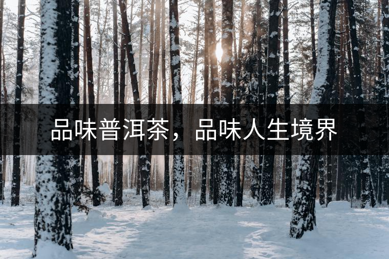 品味普洱茶，品味人生境界