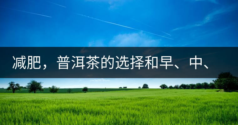 減肥，普洱茶的選擇和早、中、晚的喝法