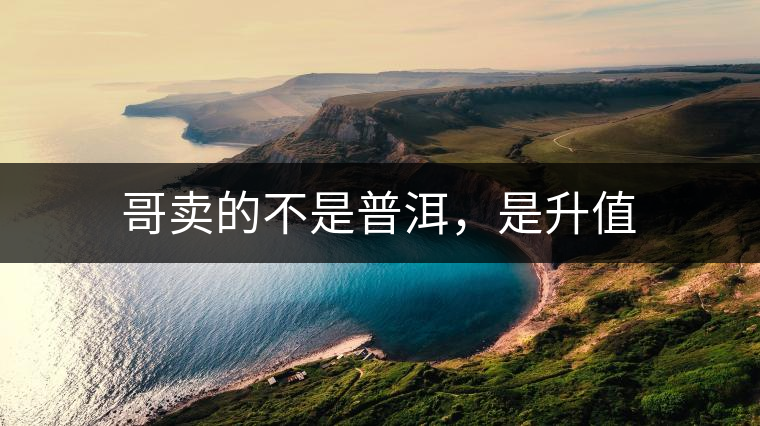 哥賣的不是普洱，是升值