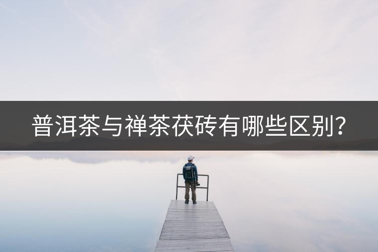 普洱茶與禪茶茯磚有哪些區(qū)別？