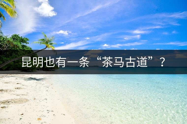 昆明也有一條“茶馬古道”？