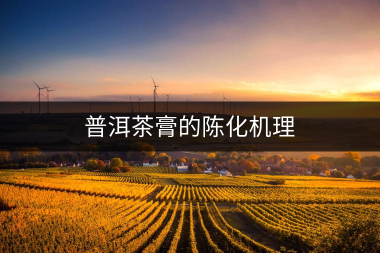 普洱茶膏的陳化機(jī)理