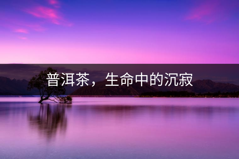 普洱茶，生命中的沉寂