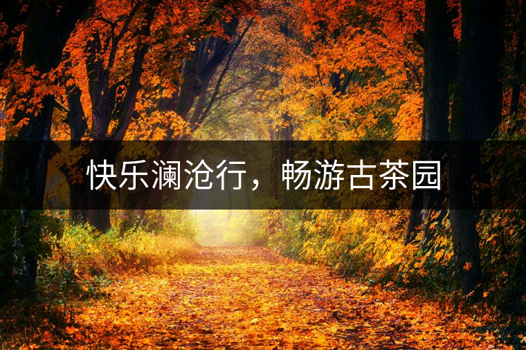 快樂瀾滄行，暢游古茶園