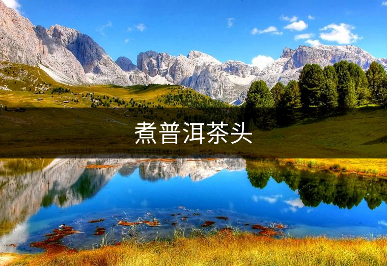 煮普洱茶頭