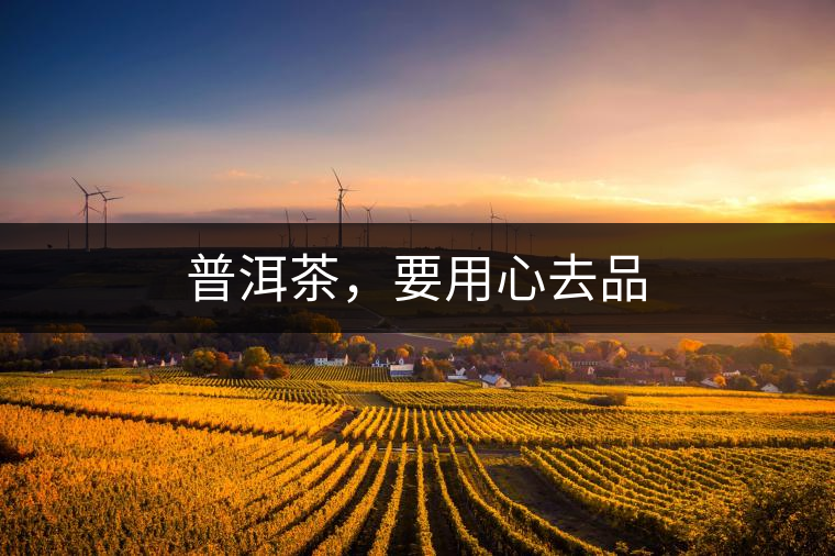 普洱茶，要用心去品