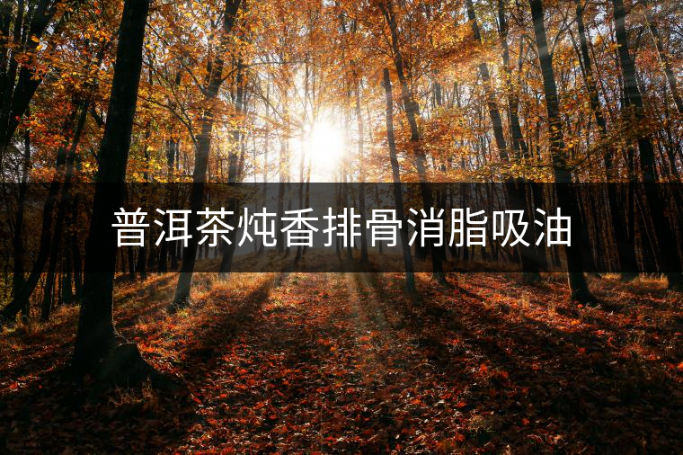 普洱茶燉香排骨消脂吸油