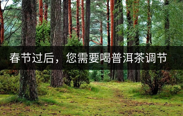 春節(jié)過后，您需要喝普洱茶調(diào)節(jié)身體