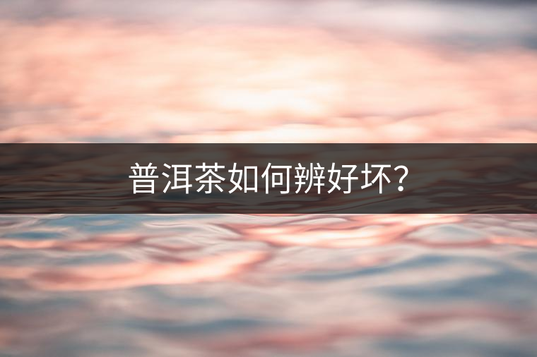 普洱茶如何辨好壞？