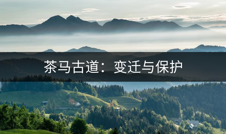 茶馬古道：變遷與保護(hù)