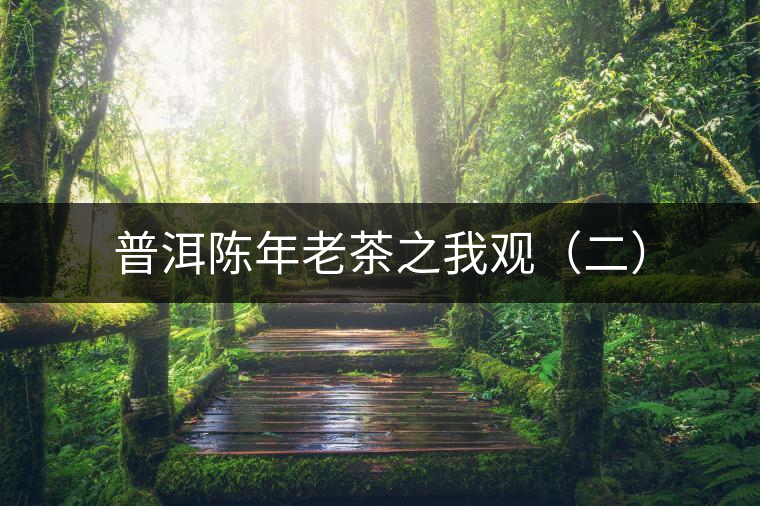 普洱陳年老茶之我觀（二）