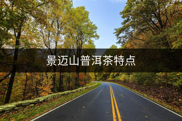 景邁山普洱茶特點