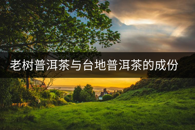 老樹普洱茶與臺地普洱茶的成份對比分析