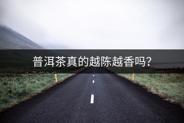 普洱茶真的越陳越香嗎？