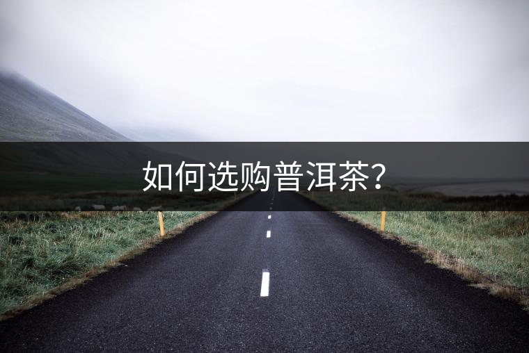 如何選購普洱茶？