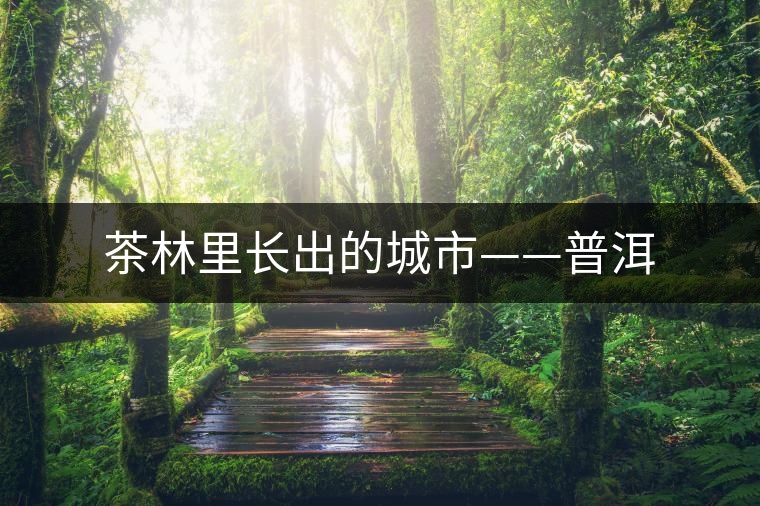 茶林里長出的城市——普洱