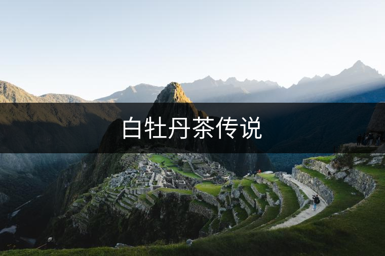 白牡丹茶傳說