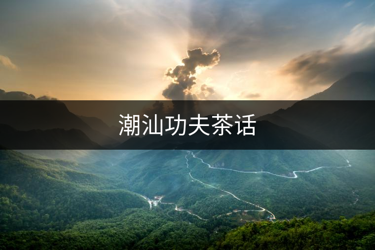 潮汕功夫茶話 潮汕功夫茶話