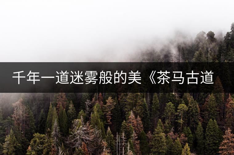 千年一道迷霧般的美《茶馬古道德拉姆》