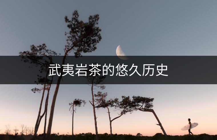 武夷巖茶的悠久歷史