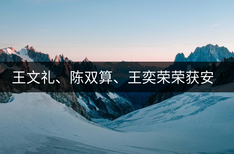 王文禮、陳雙算、王奕榮榮獲安溪茶界三杰