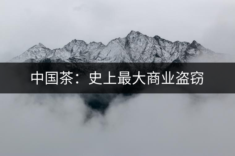 中國(guó)茶：史上最大商業(yè)盜竊