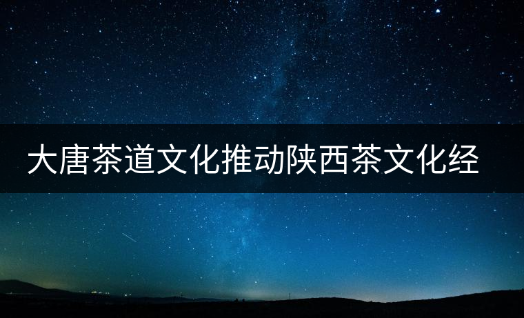 大唐茶道文化推動陜西茶文化經(jīng)濟(jì)的發(fā)展 大唐茶道文化推動陜西茶文化經(jīng)濟(jì)的發(fā)展