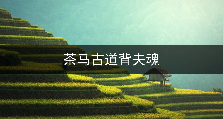 茶馬古道背夫魂