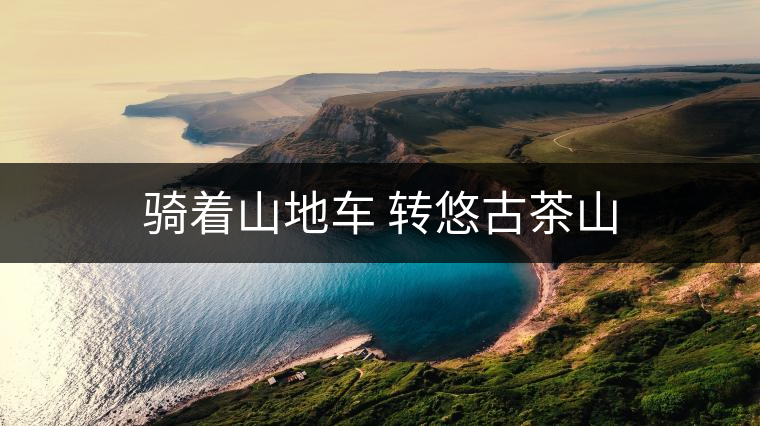 騎著山地車(chē) 轉(zhuǎn)悠古茶山
